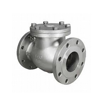 Check Valve